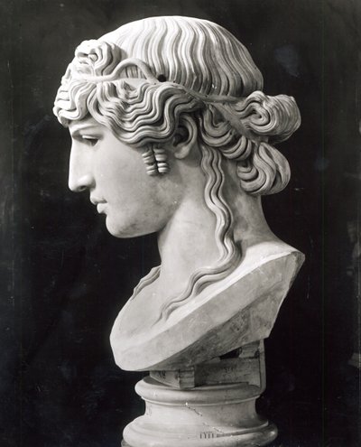 Bust of Antinous by Roman